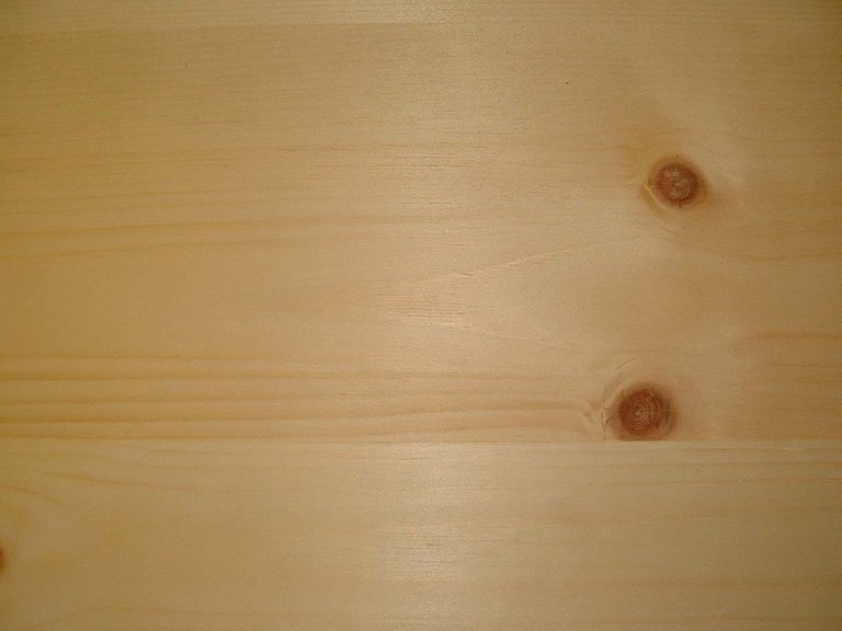 KNOTTY PINE.jpg