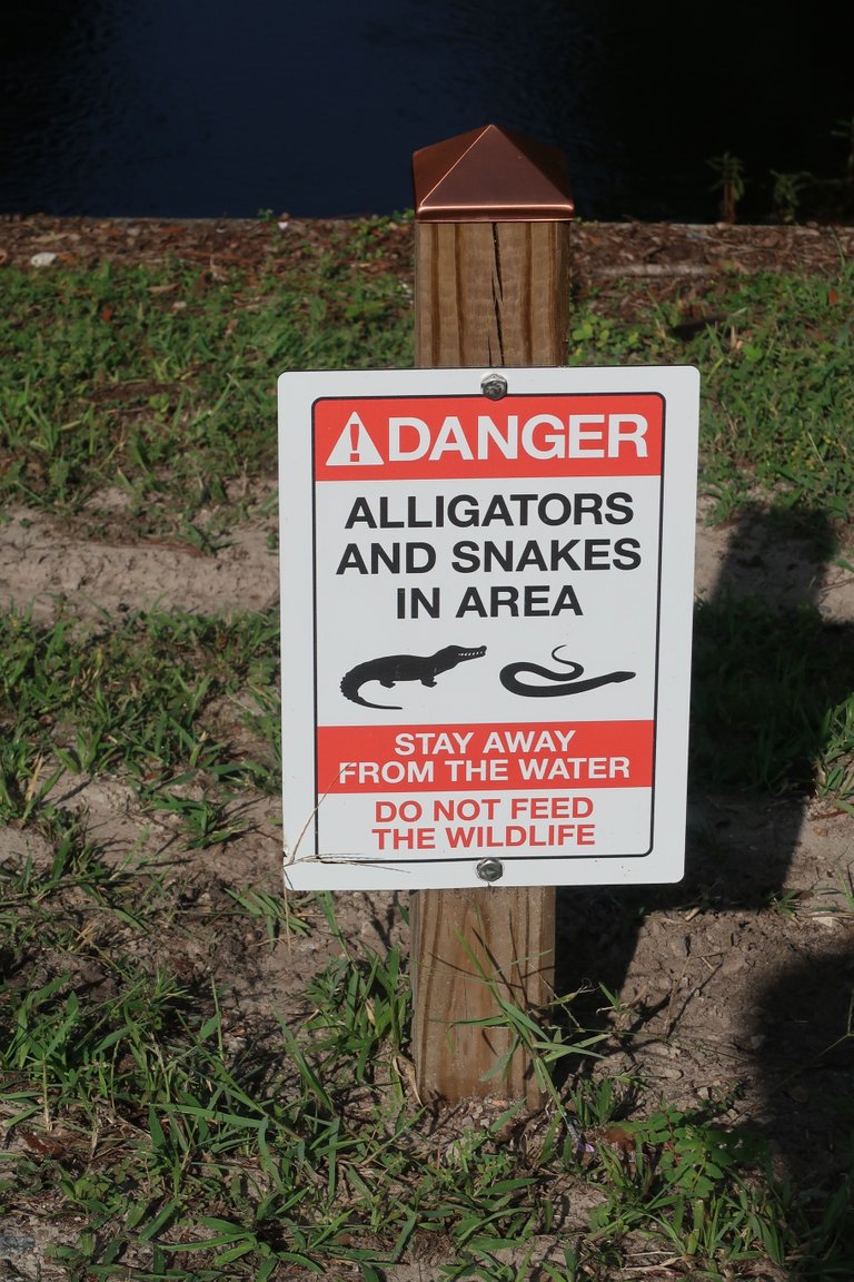 Danger Alligators and Snakes in Magic Kingdom theme park at Walt Disney World Resort.JPG