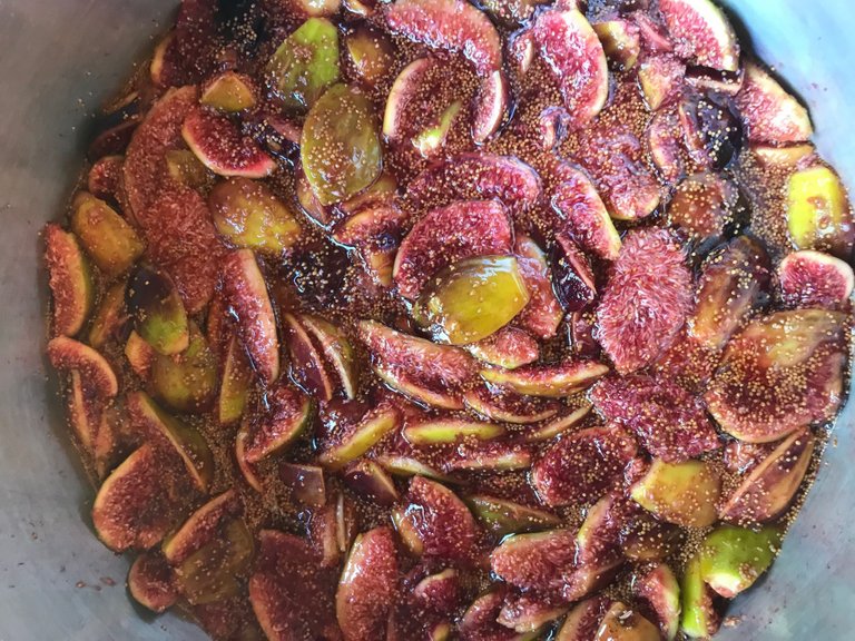 figs in liquid.jpg