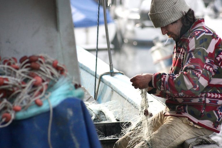 fisherman-network-boat-sea-51005.jpeg