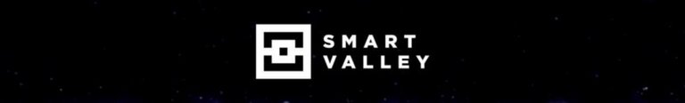 smart valley.jpeg