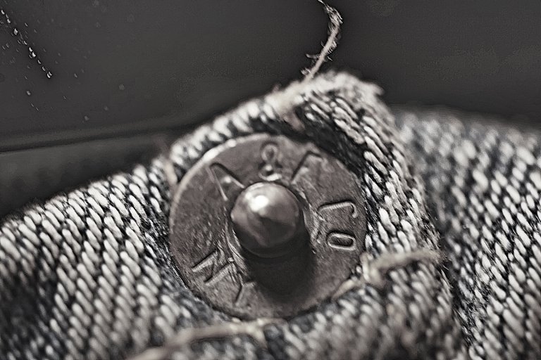 BWMACRO04222018_Fotor.jpg