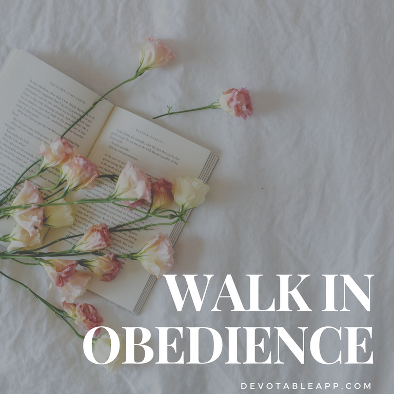 walk-in-obedience.png