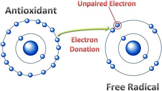 antioxidants-vs-free-radicals-diagram_0.jpg