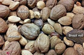 Edible Nuts Market.jpg