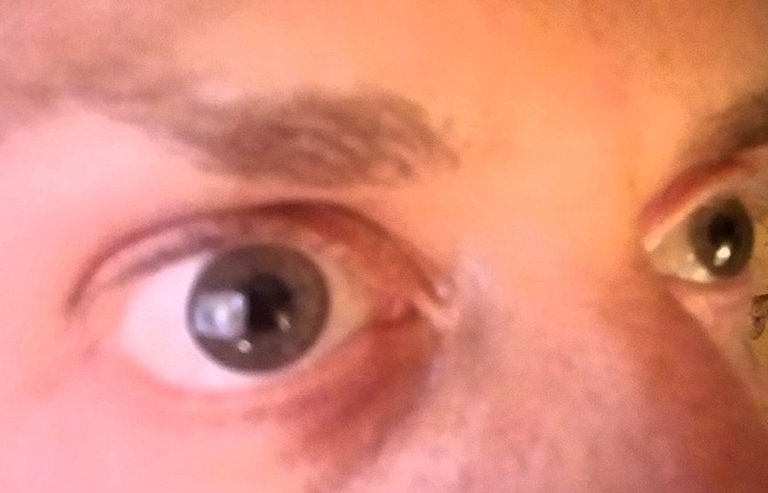 Eyes 2.jpg