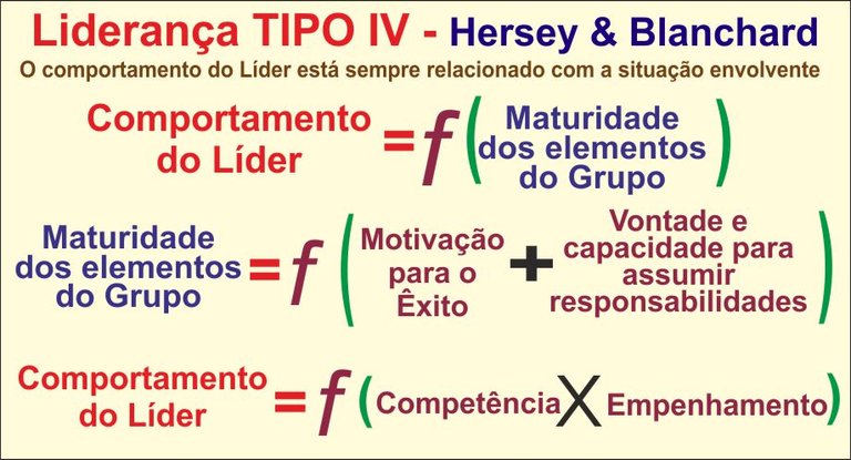 teorias-da-lideranca-tipo4-pt.jpg