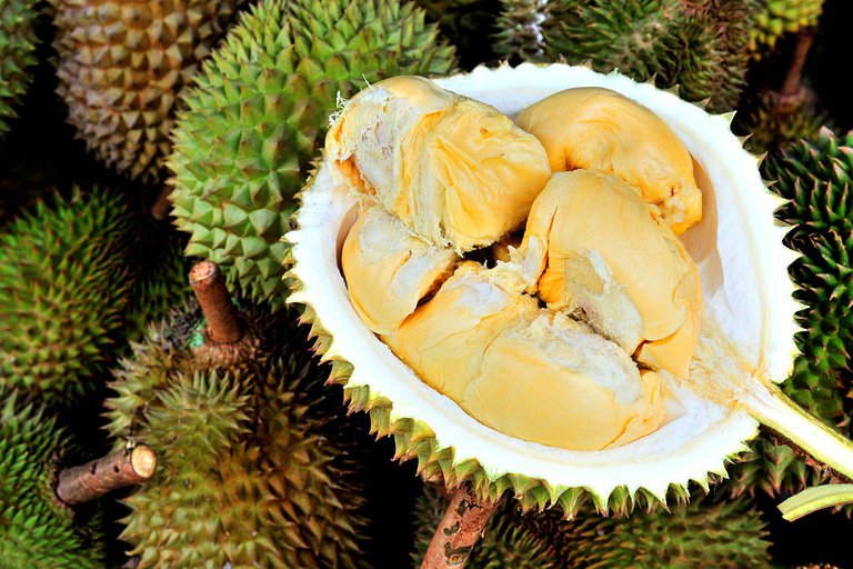 durian.jpg