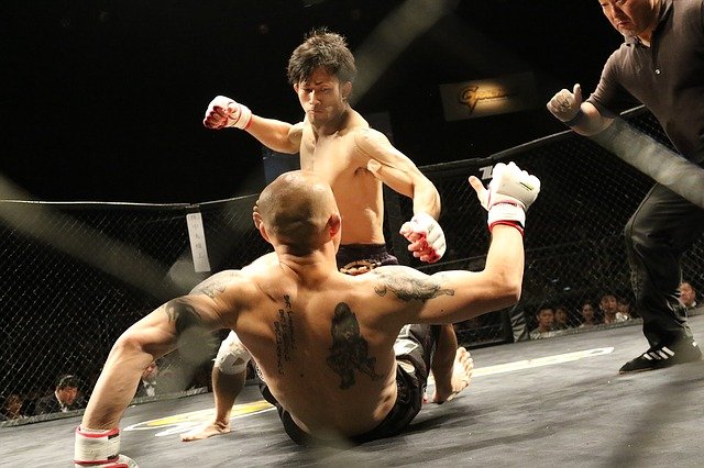 mixed-martial-arts-1455901_640.jpg