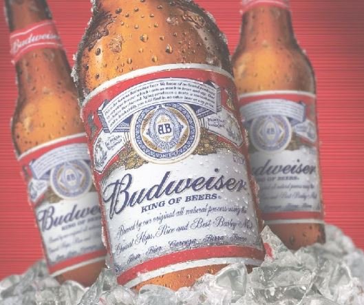 Budweiser.JPG