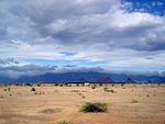 150px-Agasthiyamalai_range_and_Tirunelveli_rainshadow.jpg