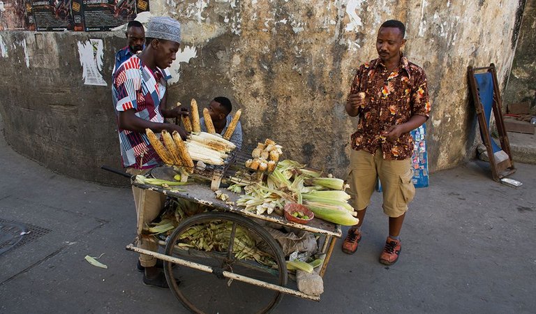 BLOG-COTW-1024x600-Africas-Informal-Economy-Stone-Town-Zanzibar-Ton-Kone-VWPics-Newscom-dbcstock214484.jpg