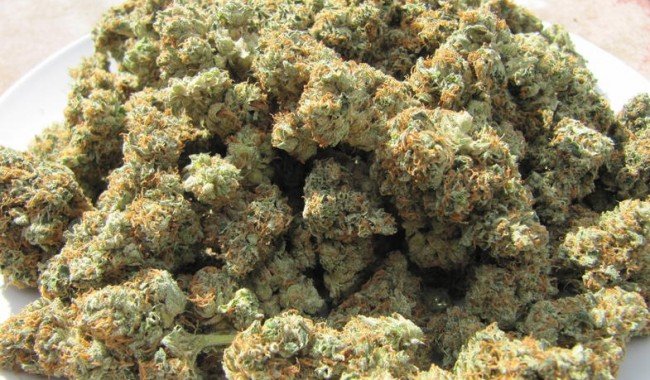 707_headband_weed-650x380.jpg