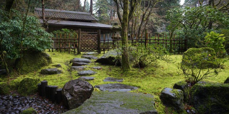 Tea-House-Viewed-from-Tea-Garden-after-Rain.-Photo-by-Tyler-Quinn-1-1600x800.jpg