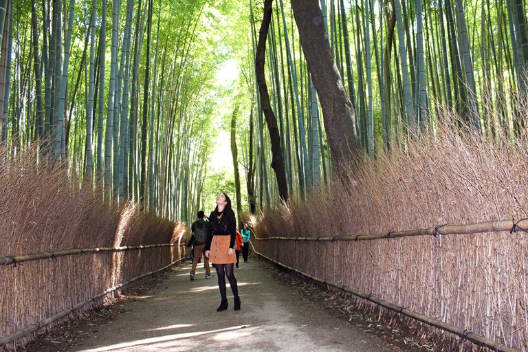 japan-landscape.jpg