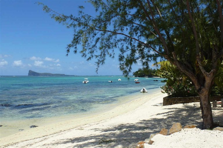 Plage-de-Peyrebere.jpg