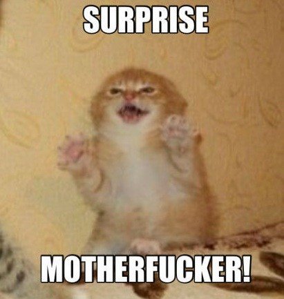 surprise_o_405029.jpg