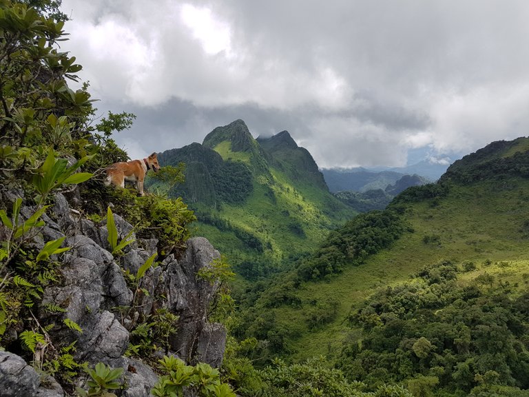 Chiang Dao-22.jpg