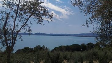 lago trasimeno 1.jpg