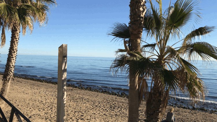 VideoToGif_GIF-53.GIF