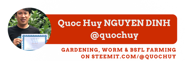 @quochuy verified Steemit account