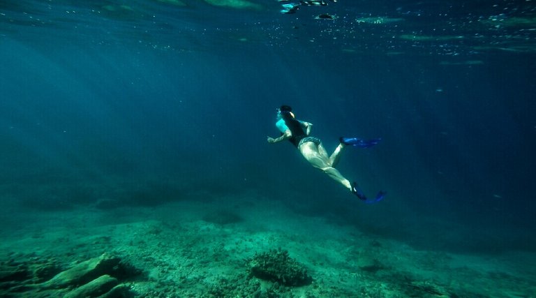 freediving.jpg