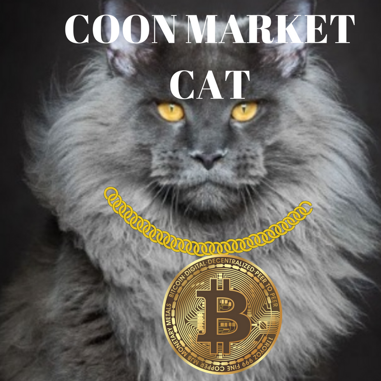 COON MARKET CAP.png