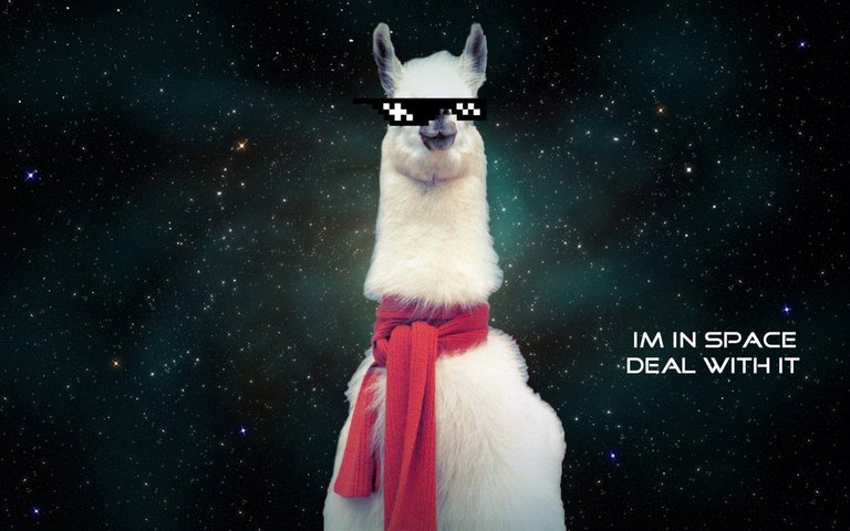 cool_lama_in_space__by_iniciunt-d6fkevn.jpg