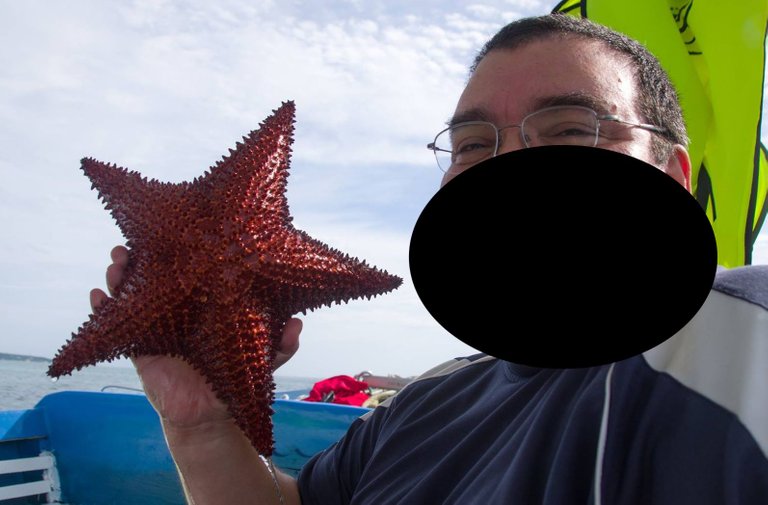 starfish.jpg