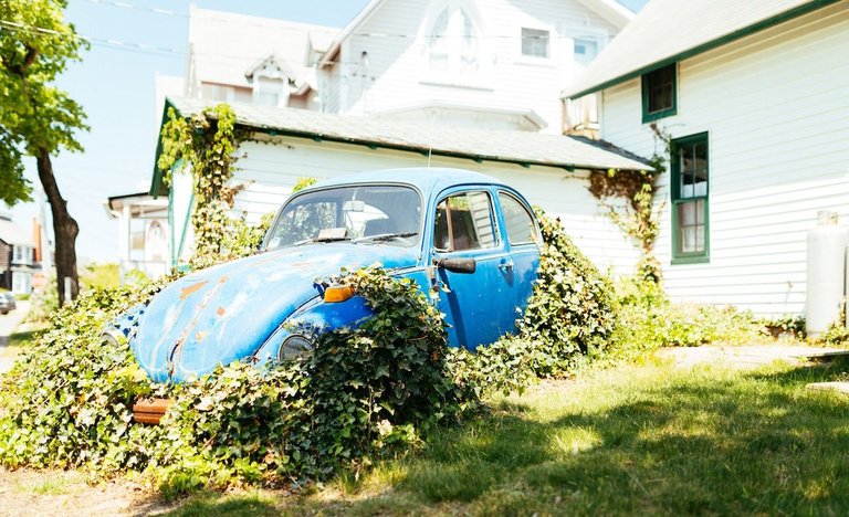 VW in front yard small copy.jpg