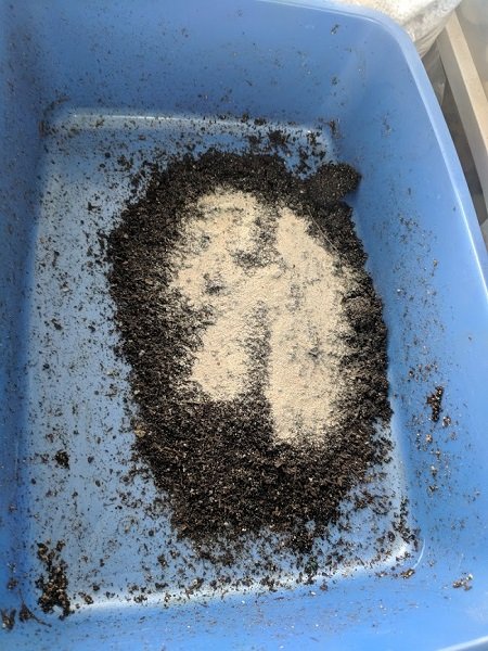 soil step1.jpg