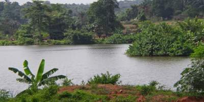 Agulu-Lake-Anambra.jpg