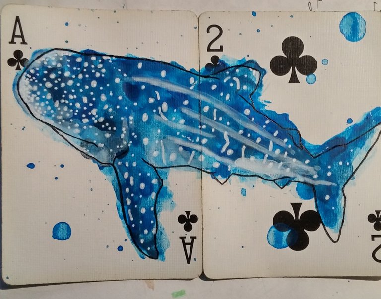 whale shark3.JPG