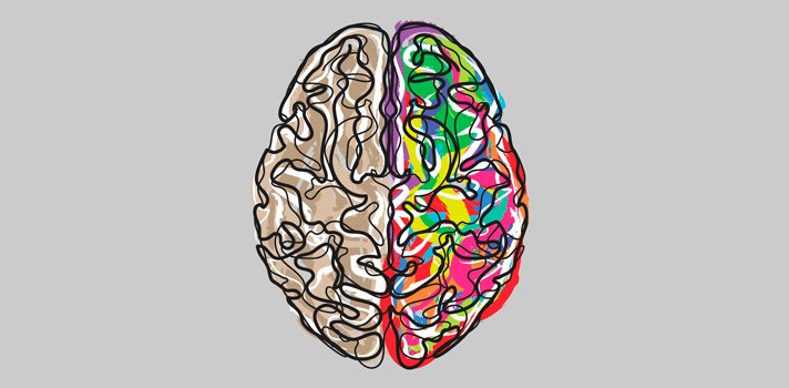 cerebro.jpg