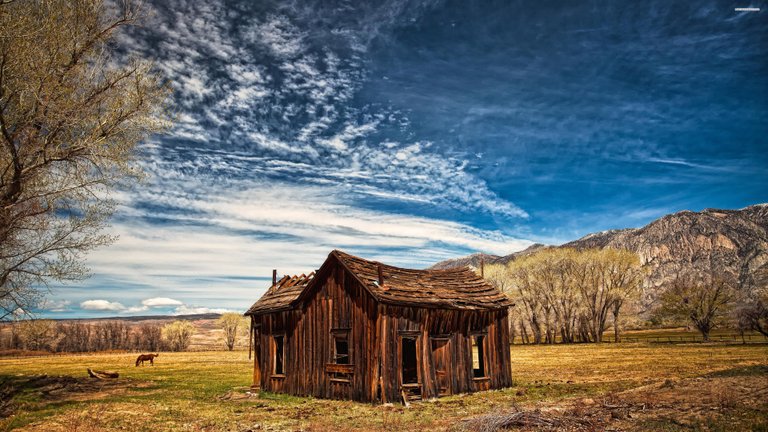 field-tree-house-sky-cloud-mountain.jpg