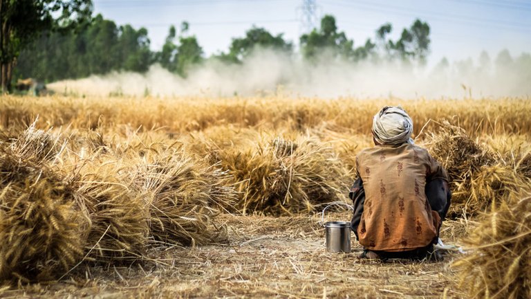 farmer-2260636_1920.jpg