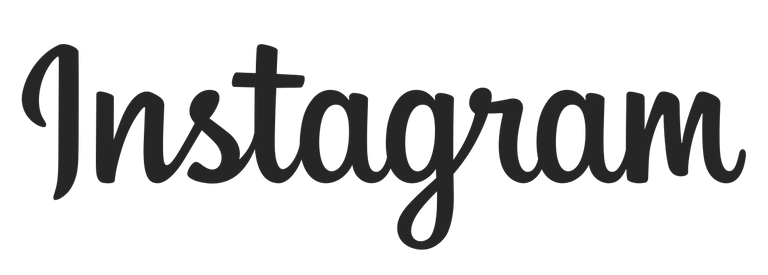 Instagram_logo.svg.png