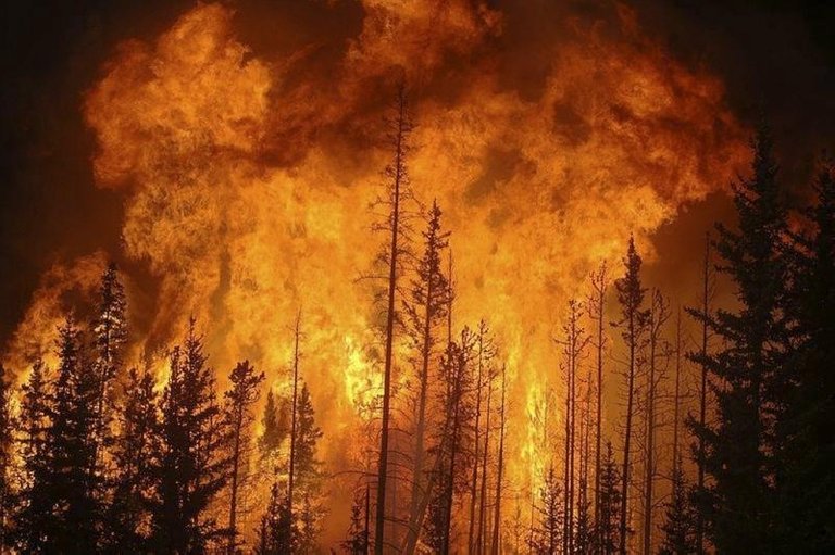 por-que-no-se-puede-acabar-con-el-incendio-de-canada_ampliacion.jpg