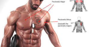 chest-muscles-lazar-angelov-300x158.png