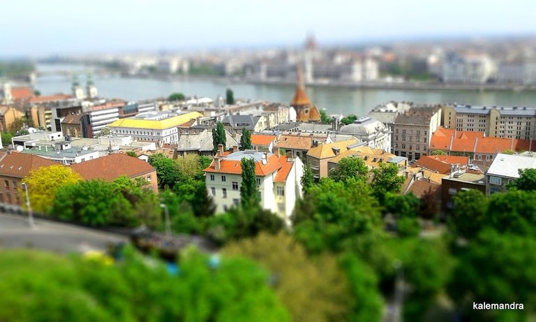 1-20160423_123518-001-tiltshift.jpg