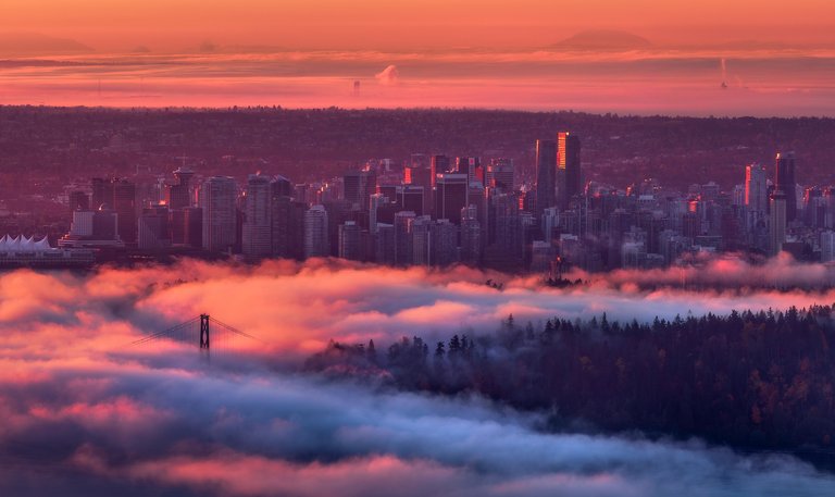 Foggy Vancouver