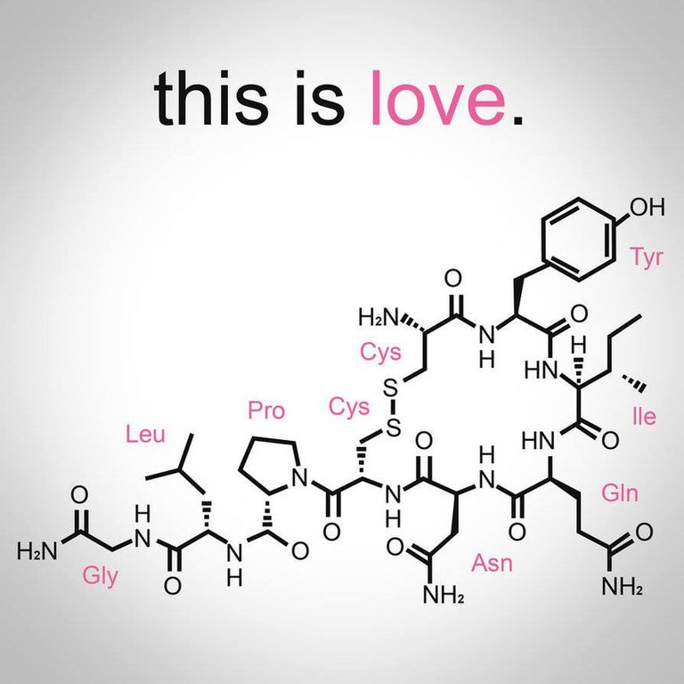 oxytocin1.jpg