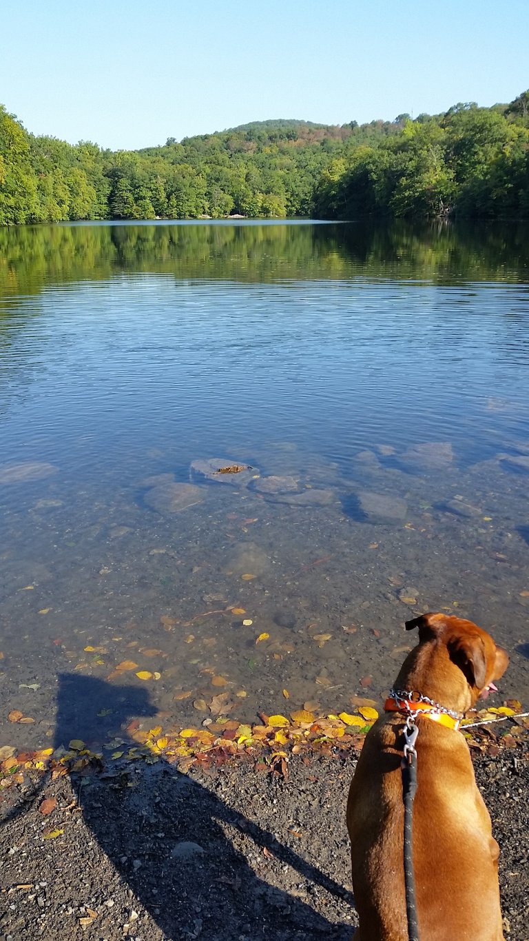 20170916_091501.jpg