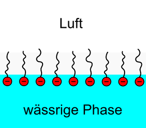 Oberflächenschicht_Tensidlösung.svg.png