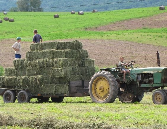 Baling hay.jpg