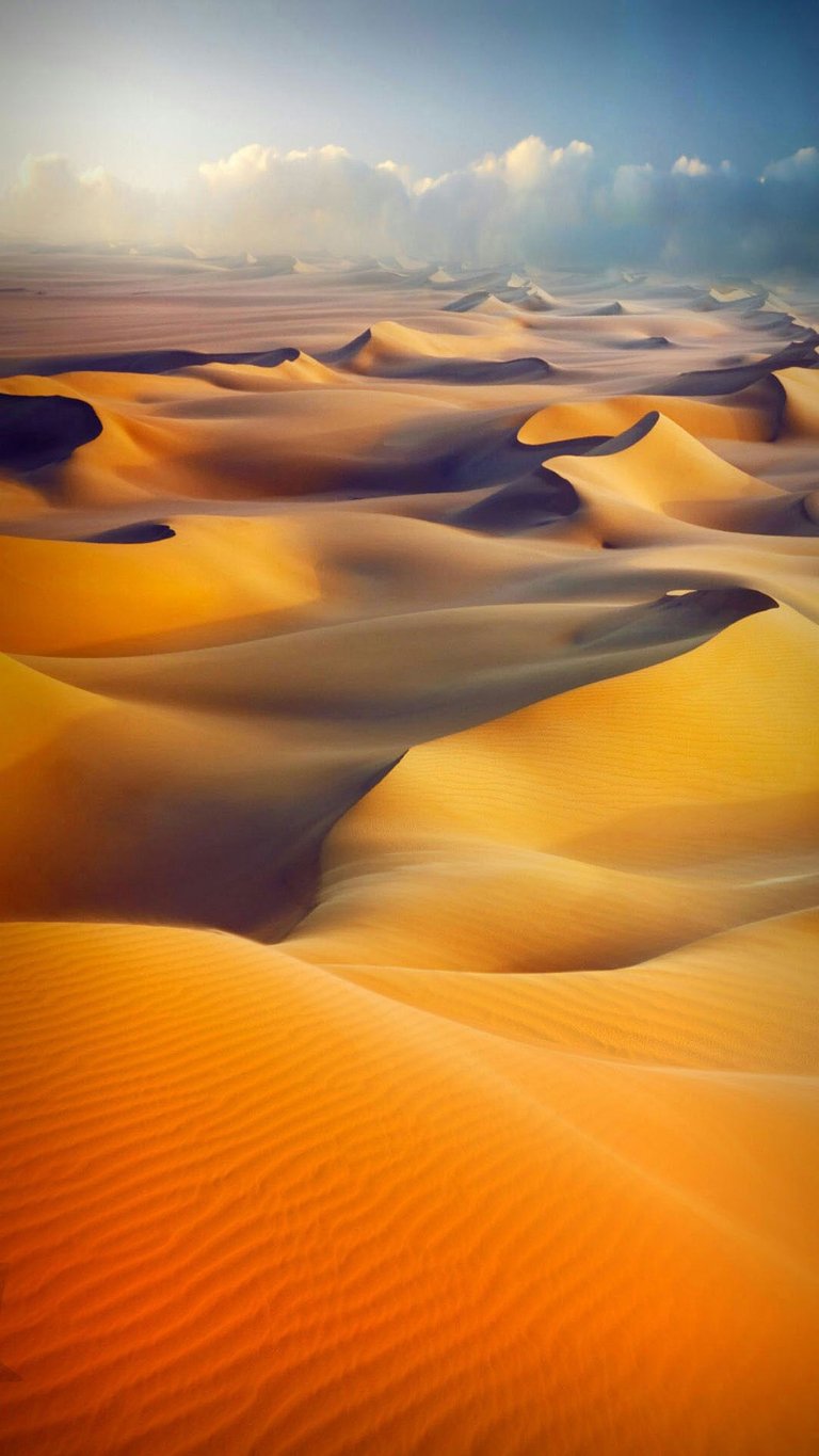 Picture_02_Desert.jpg