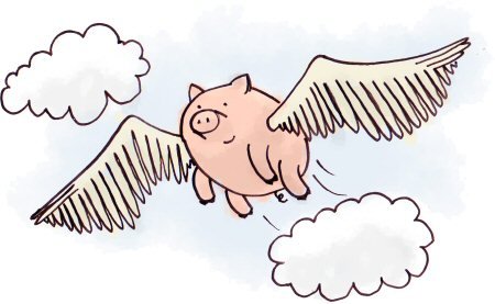 flying pig.jpg