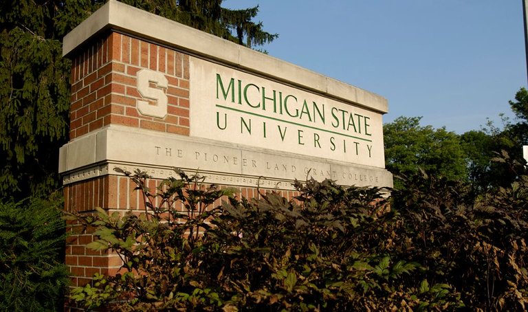 msu-sign.jpg