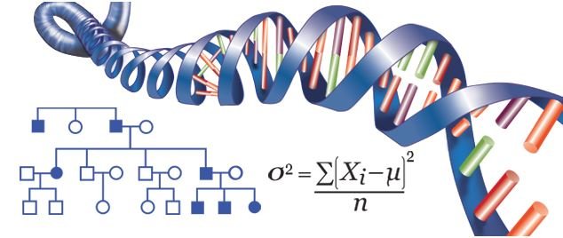 genetics final.JPG