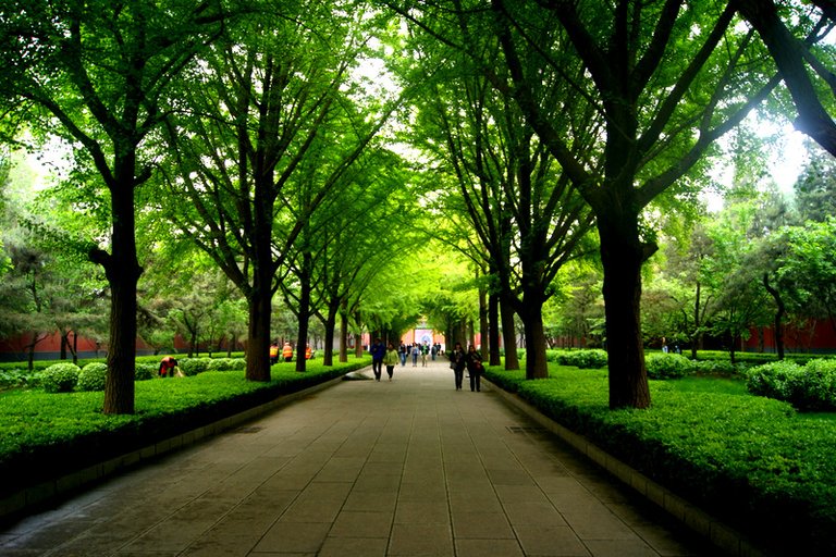 The-Lama-Temple-Beijing-China-12.jpg